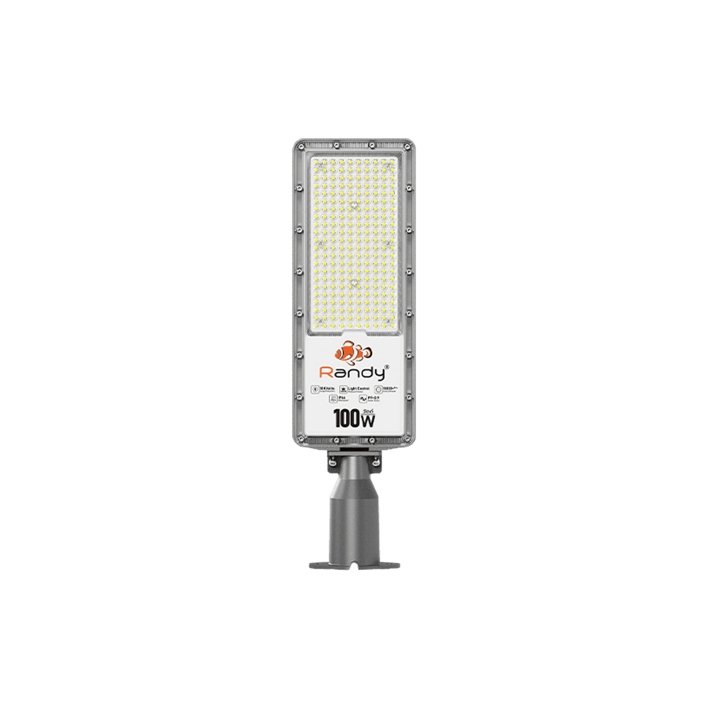 ไฟถนน220V P series 100W